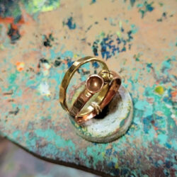 Loop & Capsule – rewild